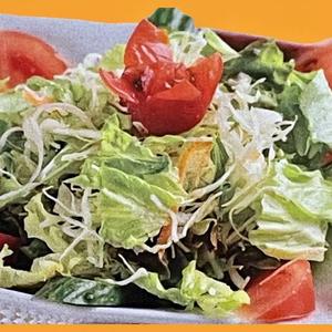 グリーンサラダ Green Salad