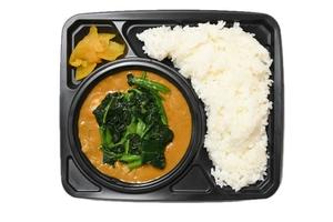 ほうれん草カレー・Saag Curry
