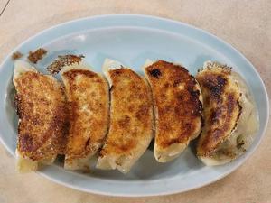 自家製ジャンボ餃子