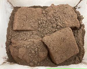 とろり天使のわらびもち [チョコ] 生わらびもち小サイズ200g Angel Bracken Rice Cake [Chocolate] 200g