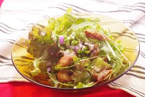ネギ塩炭焼きサラダ(negi sio salad)