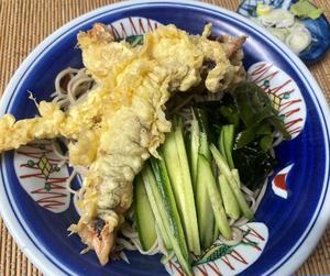 イチ押し！ 冷し いかうどん