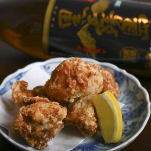 塩から揚げ (5個)