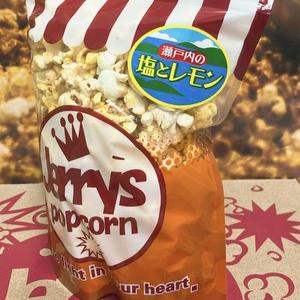 瀬戸内の塩とレモン