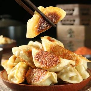 焼き手作り餃子(煎)