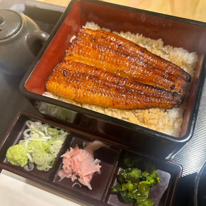 並うな重【梅】1/2尾