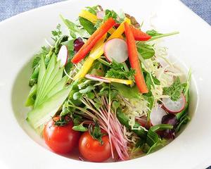 本日のフレッシュサラダ Today's Fresh Salad