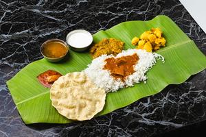 ノンベジミールス_Non-veg meals
