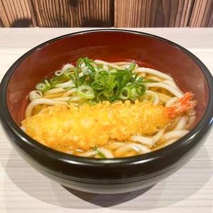 エビ天うどん