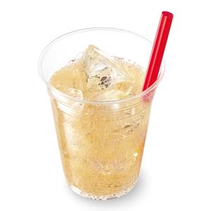 ゼッテリア ZETTERIA ジンジャーエールＭ Ginger Ale M