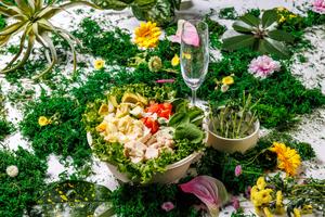 【美肌効果】スプリング・アボカドミモザサラダボウル【Beautiful Skin Effect】Spring Avocado Mimoza Salad Bowl