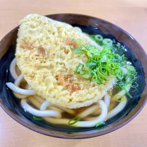 天ぷらうどん