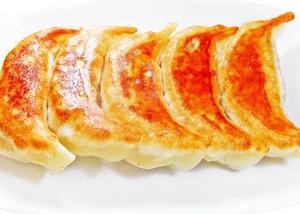 本店手作り大餃子5個