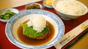 豆腐ハンバーグ弁当