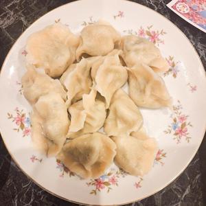 自家製ベジ餃子