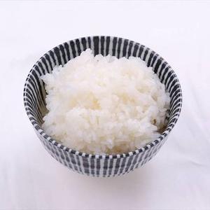 白飯 rice