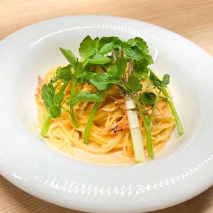 桜エビとルッコラのトマトクリームパスタ