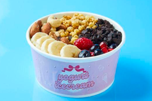 4種のミックスベリーグリークヨーグルトボウル  Four Mixed Berry Greek Yogurt Bowl