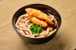 ミニかしわ天うどん