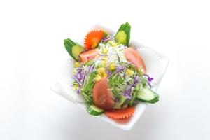 グリーンサラダ Green Salad