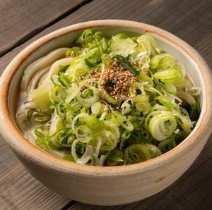 冷やしごまねぎうどん cold udon with sesame＆green onion