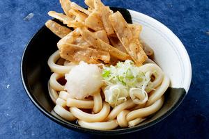 さぬき ごぼう天冷やしうどん