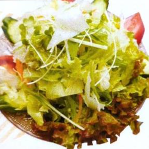グリーンサラダ Green Salad