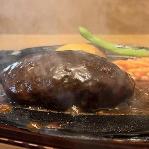 ☆テリヤキダブルハンバーグ弁当(ごはん付き、ダブルハンバーグ)