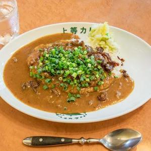 牛すじネギカレーBeefTendon＆WelshOnionCurry