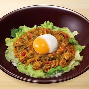 スパイシーキーマカレー丼【Wトッピングカレーお試しキャンペーン対象外です】