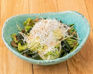 三浦野菜と湘南釜揚げしらすのサラダ