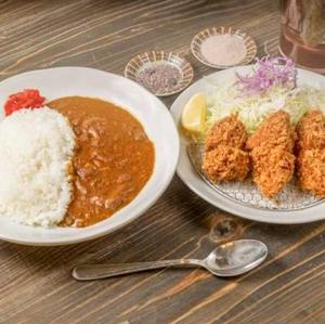ひれかつカレー