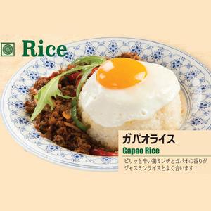 ガパオライス