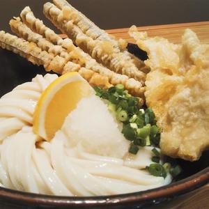 冷やしとりごぼう天うどん