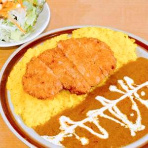 とんかつカレー(サラダ付き)/Tonkatsu Curry(with Salad)