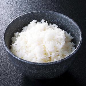 ライス(中)