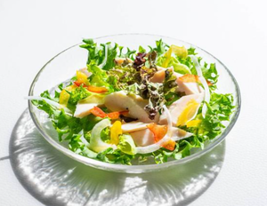 グリーンサラダ Green Salad