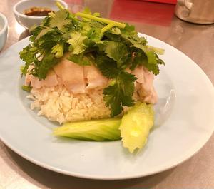 渋谷カオマンガイ ご飯大盛り(パクチー大盛り) khao Man Kai large size,extra Coriander