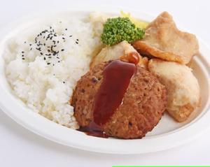 からあげ＆ハンバーグ弁当