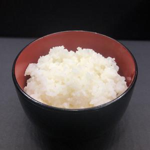 白ごはん(並)
