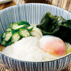 山かけ温玉 冷しうどん