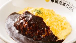 ハヤシオム Hashed Beef Sauce Omelet Rice