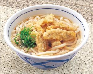 ごぼう天うどん