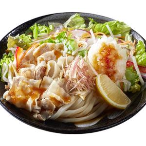 豚しゃぶサラダうどん