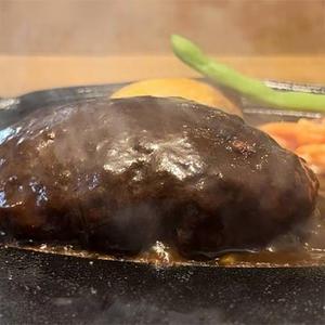 ☆おにおろしダブルハンバーグ弁当(ごはん付き、ダブルハンバーグ)