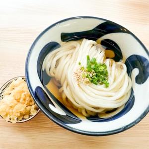 たぬきうどん(温)