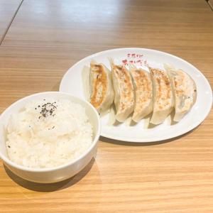 餃子弁当(お新香・サラダ付き)