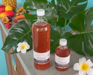 《Kombucha》ザクロ  クランベリー