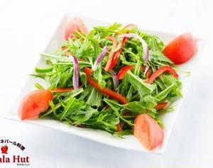 グリーンサラダ Green Salad