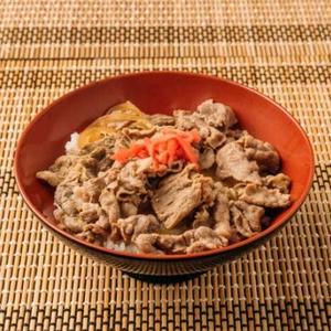 ミニ牛丼